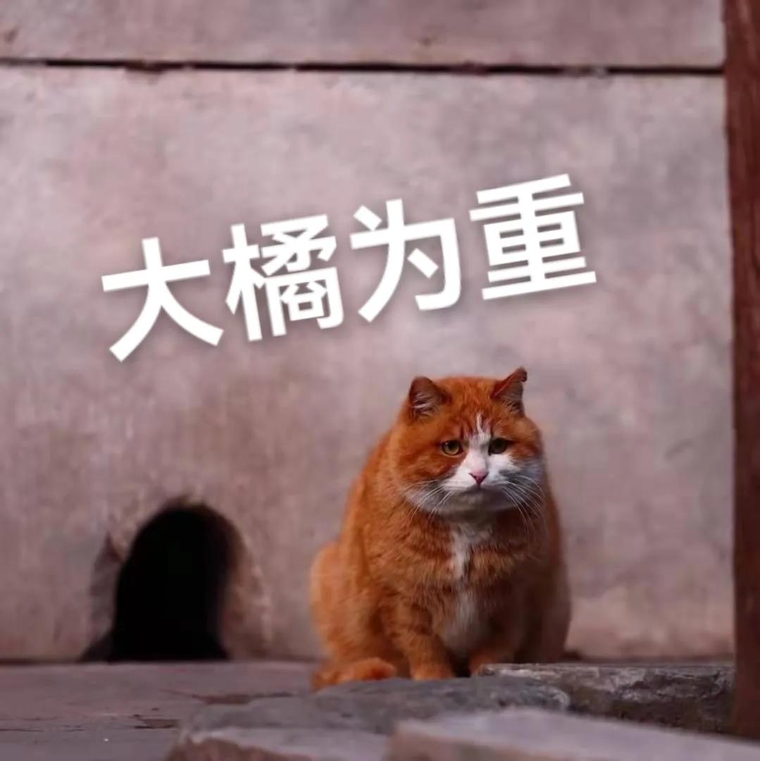 帕帕网红猫写真_mao帕_网红柚木最新大尺度写真第四季