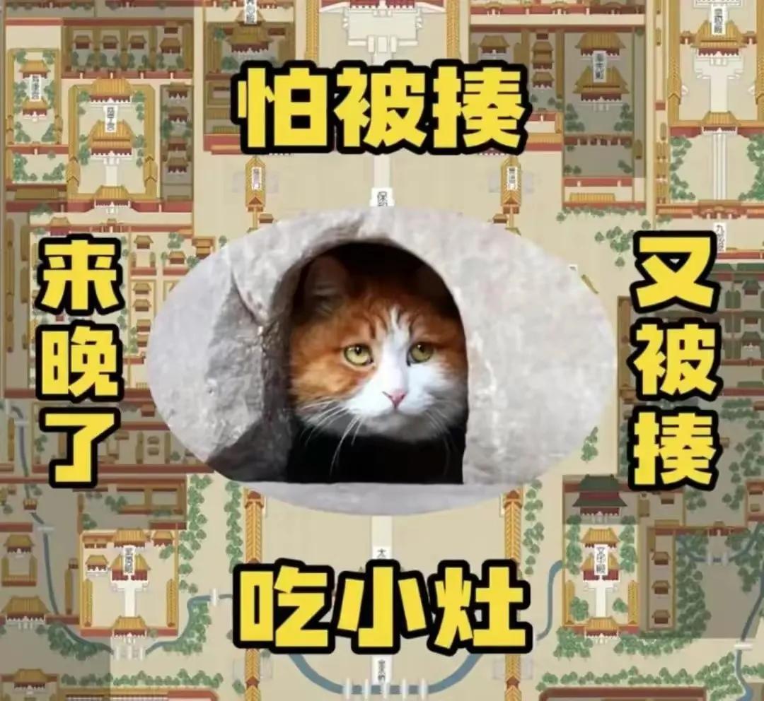 帕帕网红猫写真_网红柚木最新大尺度写真第四季_mao帕