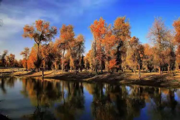 喀什古城艺术照_喀什古城摄影作品_喀什古城网红写真
