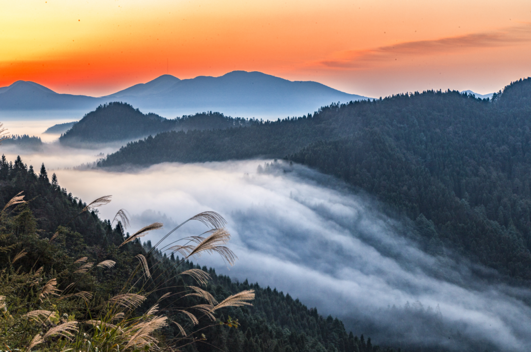 玉山县宣传片_玉山县新闻网_玉山县网红写真